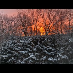 Meet your Posher, Alan